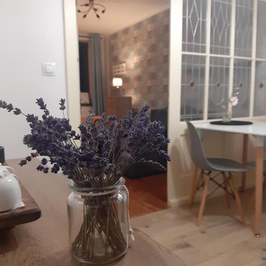 Apartman U Javoru Varnsdorf Exterior photo